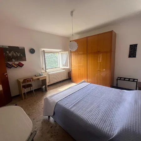 Pina - 1 * Montemarciano