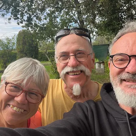 Frühstückspension Pina - 1