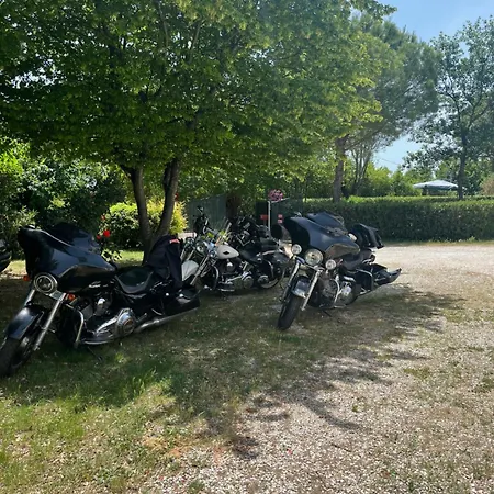 Pina - 1 Montemarciano